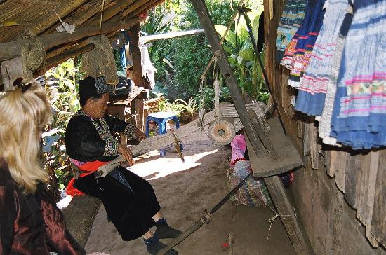 sejarah ganja di thailand
